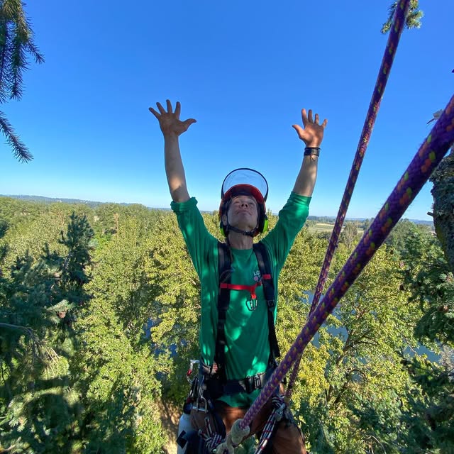 A climber in a green shirt and red helmet standing high in a harness above the treetops with both arms raised, a river valley and open sky behind him.